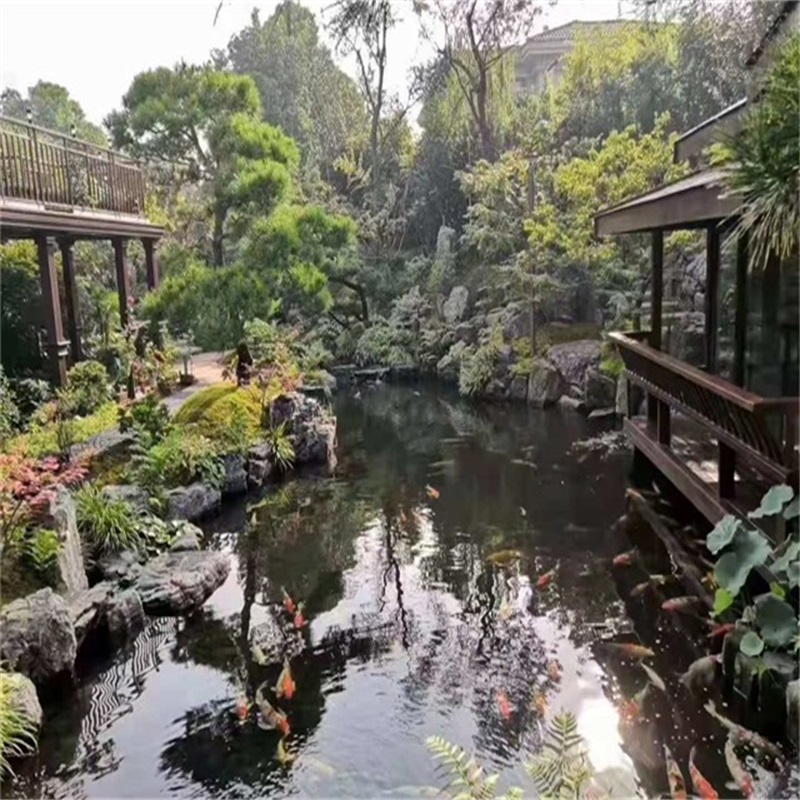 中山假山植物小鱼池